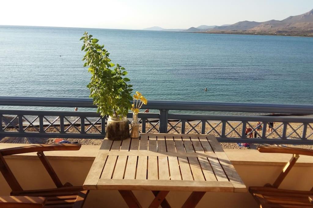 Almiriki Apartment เอลาฟอนนิซอส ภายนอก รูปภาพ